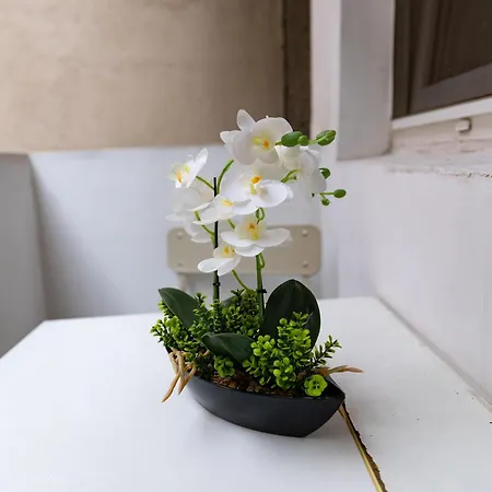 Old City- Big Apartment *