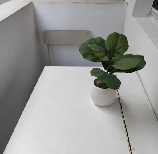 Old City- Big Lejlighed