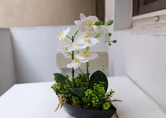 Old City- Big Lejlighed *